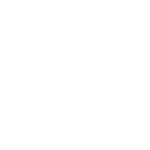 sneaker icon