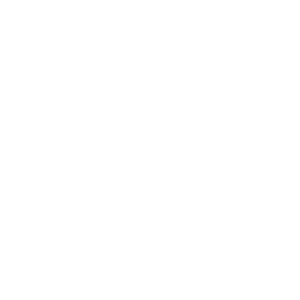 mobile phone icon