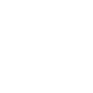 rocket ship icon
