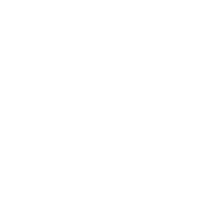 computer chip icon